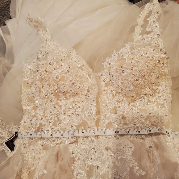 Princess Tulle and Beaded Wedding Dress - Picture 8 of 8